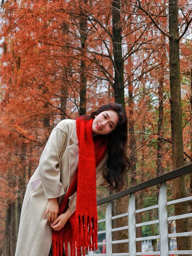 落羽杉紅啦！週末逛個公園也能拍秋日大片！