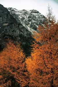 冬天衝西藏才是真聰明！尋覓你的冰雪奇緣