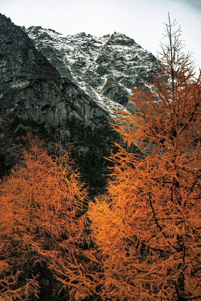 冬天衝西藏才是真聰明！尋覓你的冰雪奇緣