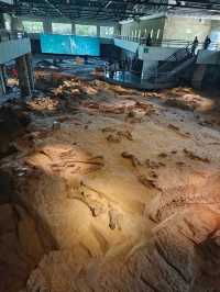 恐龍博物館會善待每個喜歡恐龍的寶貝