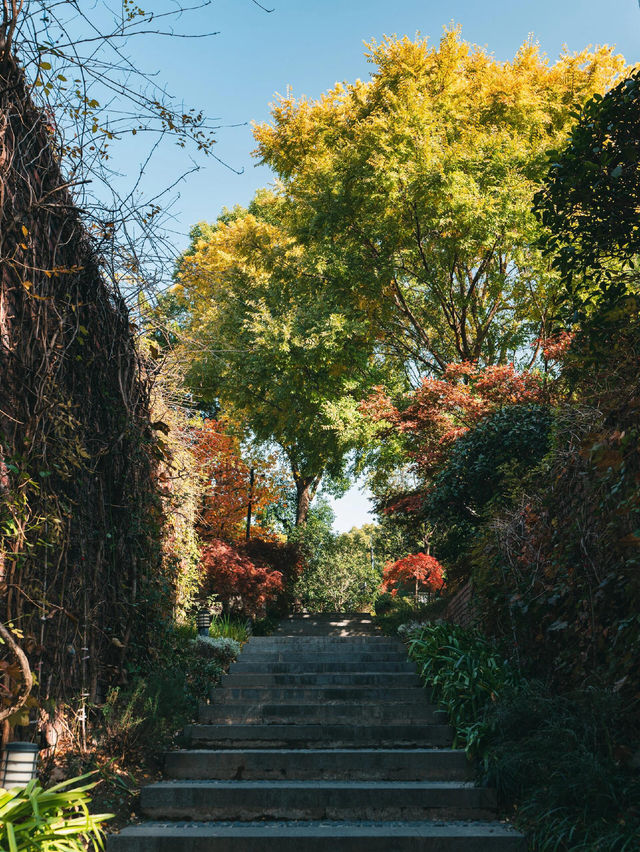 Citywalk | 城市治癒綠洲·上生新所2期探秘 Citywalk | 城市治癒綠洲·上生新所2期探秘