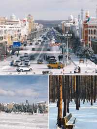 解鎖東北人生清單 四重夢境一次奢享