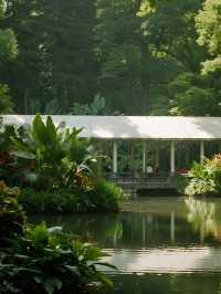 武漢12月遛娃!植物園美成莫奈油畫