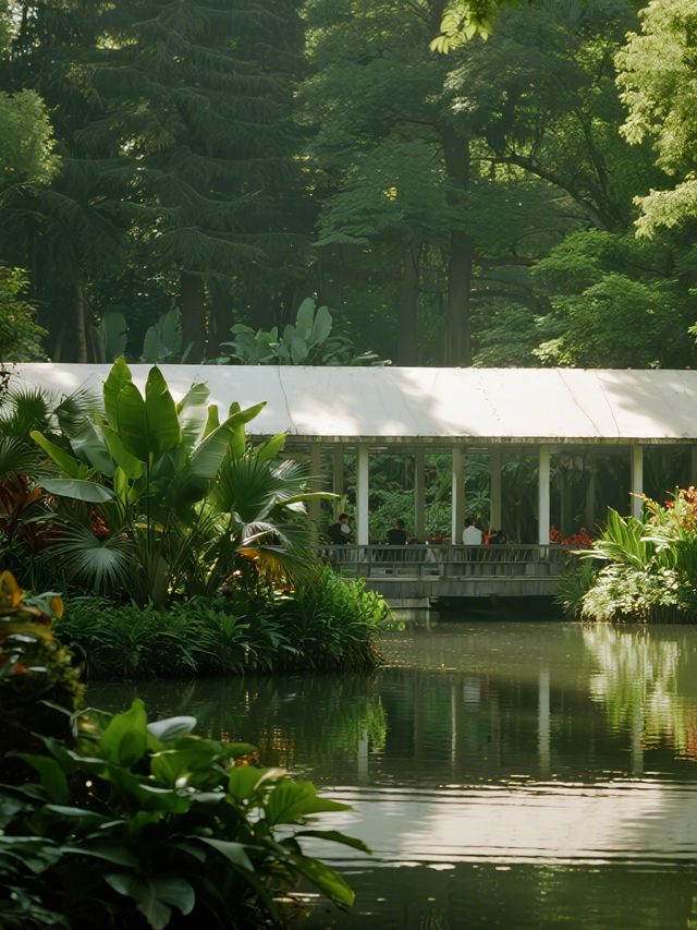 武漢12月遛娃!植物園美成莫奈油畫 武漢12月遛娃!植物園美成莫奈油畫