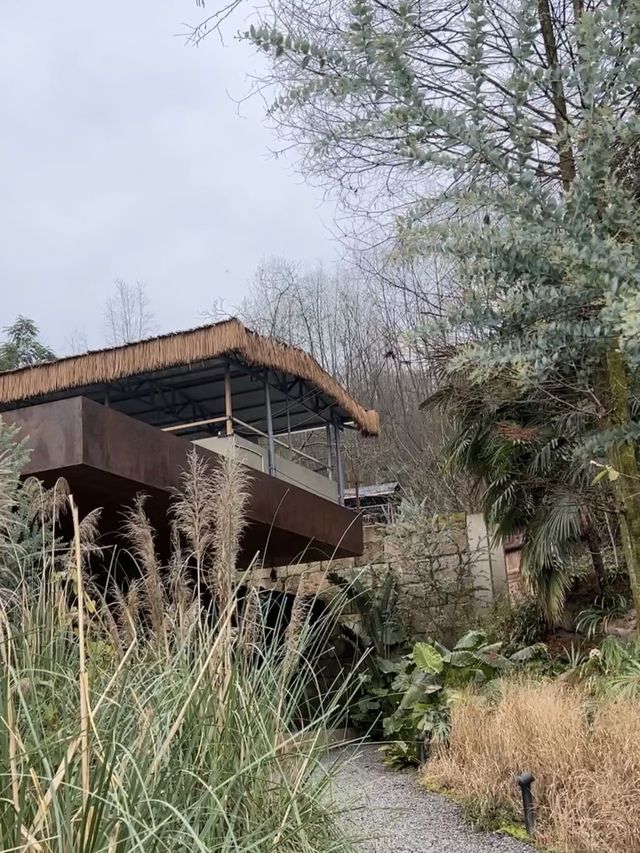 這一站躲進了青城山的森林氧吧