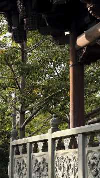 西湖邊隱秘觀景台，一些西湖的其他角度