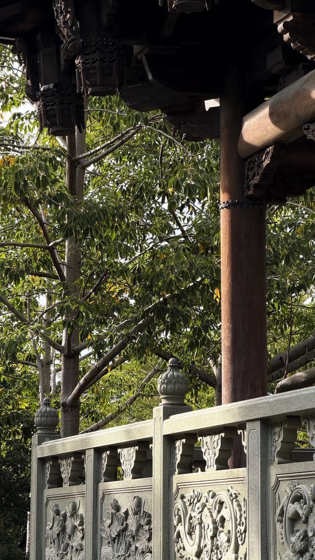 西湖邊隱秘觀景台，一些西湖的其他角度