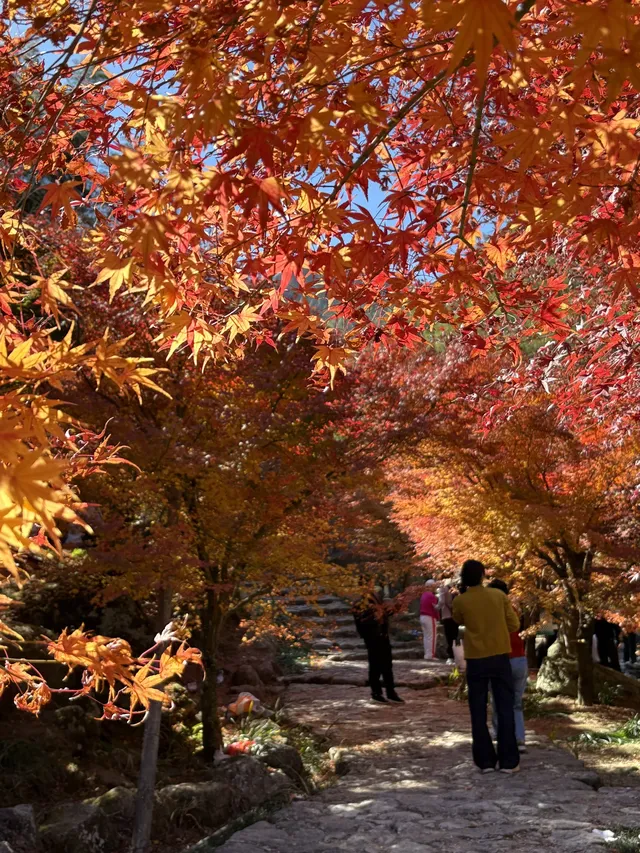 不是京都!實況無調色 不是京都!實況無調色