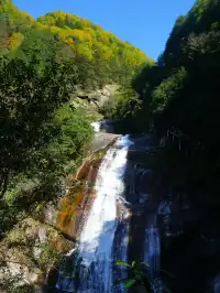 赴光霧山,收藏秋季限定浪漫