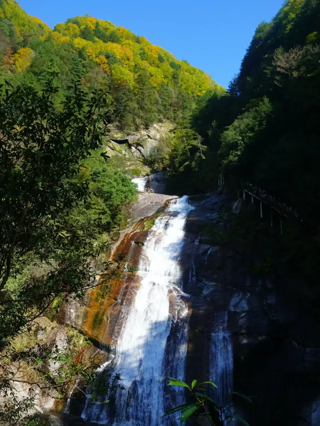 赴光霧山,收藏秋季限定浪漫 赴光霧山,收藏秋季限定浪漫