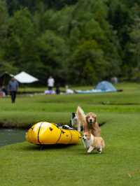 康定月亮湖遛狗人新玩法懶人露營更適合
