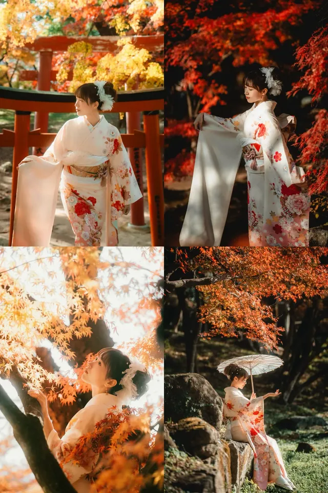 福岡紅葉季來了!! 福岡紅葉季來了!!