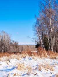 住進滑雪場裡!在長白山實現滑雪+撸寵自由