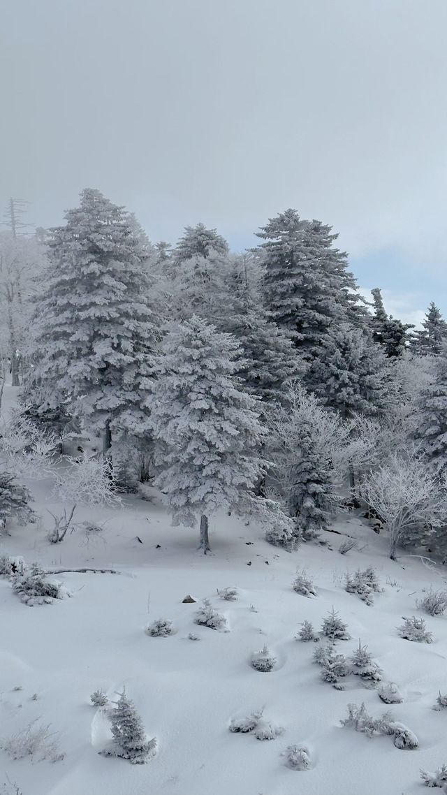 冬日仙境之旅北大湖滑雪地年度打卡記錄