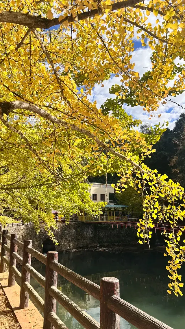 南雄帽子峰不看後悔,11.30無濾鏡!別跑空 南雄帽子峰不看後悔,11.30無濾鏡!別跑空