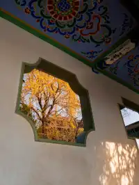 去逍遙津務必上逍遙閣中式秋景太絕了