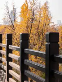 去逍遙津務必上逍遙閣中式秋景太絕了