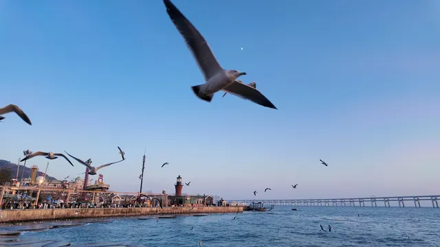 關於大連的初冬記憶 關於大連的初冬記憶