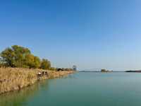蘇州私藏秋日寶藏|太湖湖濱濕地公園,免費美到驚嘆