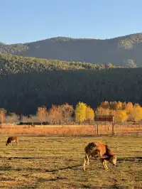 兩次瀘沽湖|寫給想慢下來的人。