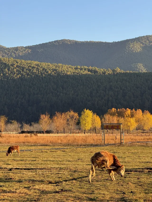 兩次瀘沽湖|寫給想慢下來的人。 兩次瀘沽湖|寫給想慢下來的人。