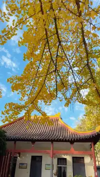 CSU中南也有自己的天空之城!神秘之地!