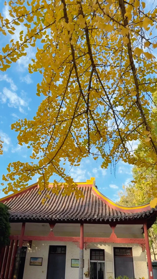 CSU中南也有自己的天空之城!神秘之地! CSU中南也有自己的天空之城!神秘之地!