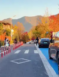 落葉倒數計時!千島湖落日金葉,衝就對了!