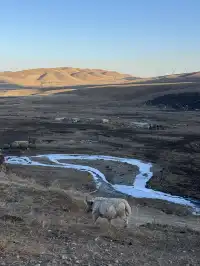 上海週末2日往返大西北！輕輕鬆鬆看雪山！