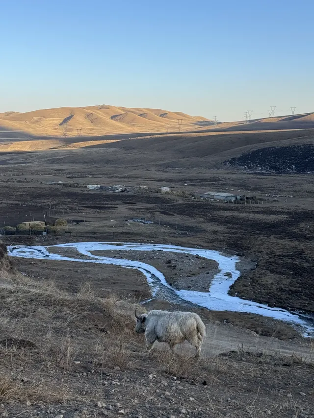 上海週末2日往返大西北！輕輕鬆鬆看雪山！