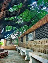 溫暖元江,放鬆心靈的原鄉!