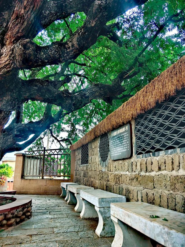 溫暖元江,放鬆心靈的原鄉! 溫暖元江,放鬆心靈的原鄉!