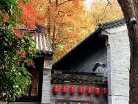 棲霞山的楓葉，是秋天寫給南京的情書