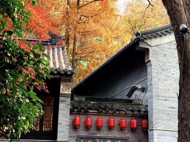 棲霞山的楓葉，是秋天寫給南京的情書