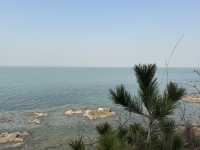 煙台養馬島避寒|清素逸居的治癒慢時光