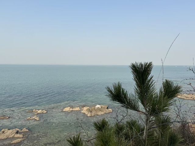 煙台養馬島避寒|清素逸居的治癒慢時光 煙台養馬島避寒|清素逸居的治癒慢時光