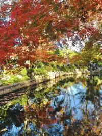 12.3魯迅公園秋日進度100％（附機位）