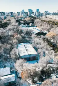 長春水文化生態園丨雪覆紅磚 水墨冬韻