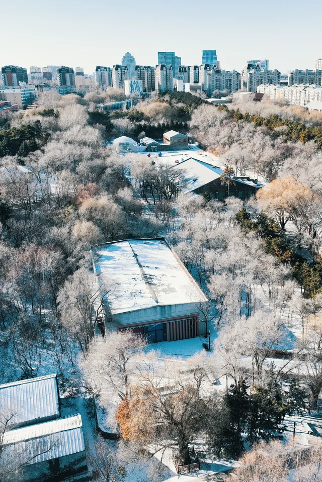 長春水文化生態園丨雪覆紅磚 水墨冬韻 長春水文化生態園丨雪覆紅磚 水墨冬韻