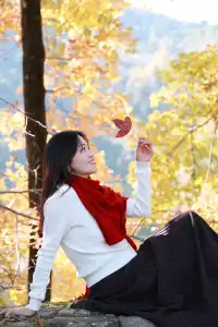 永嘉紅楓古道的紅楓紅了