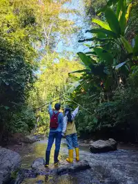 版納雨林徒步 ｜和世界失聯的四小時