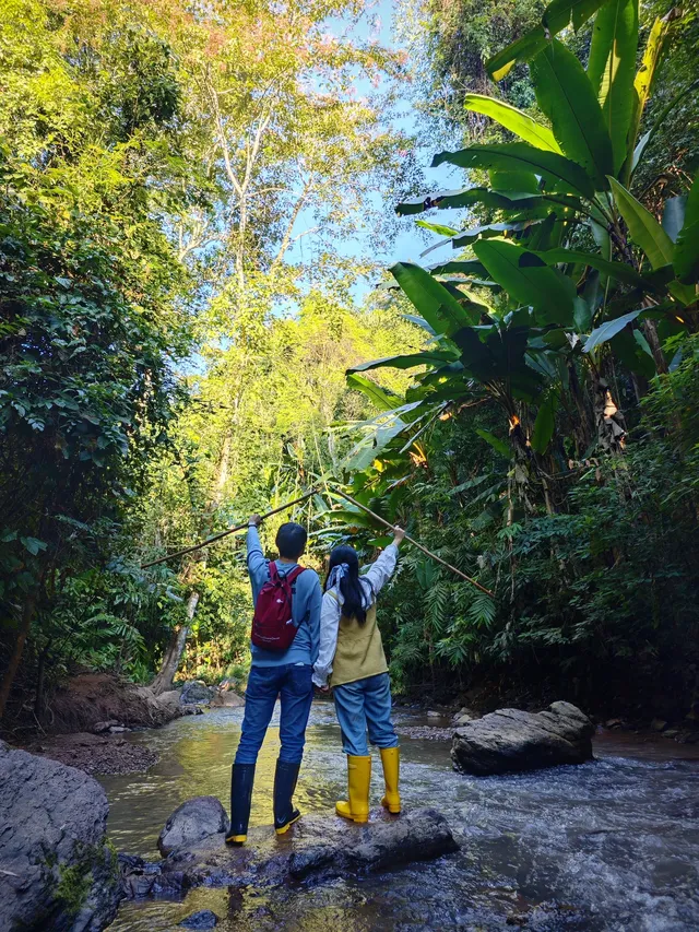 版納雨林徒步 ｜和世界失聯的四小時