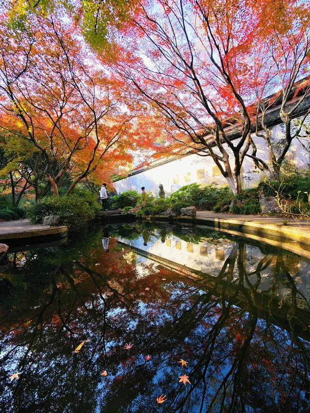 杭州紅楓反向線|3h拍爆西湖秋景~ 杭州紅楓反向線|3h拍爆西湖秋景~