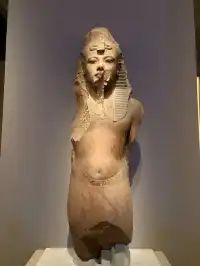 貓咪木乃伊你有看過嗎?