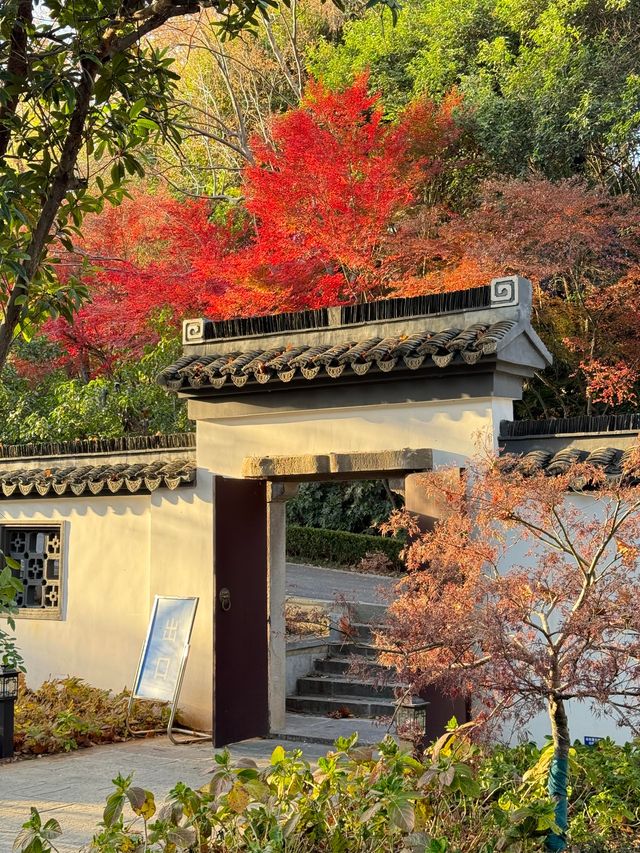 清涼山公園才是金陵賞秋天花板! 清涼山公園才是金陵賞秋天花板!