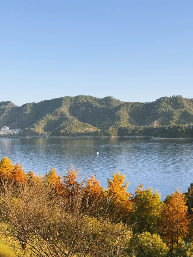 千島湖的秋意已加載完畢