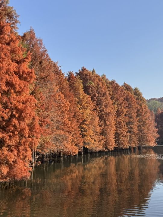 色彩繽紛的淮扬菜 色彩繽紛的淮扬菜