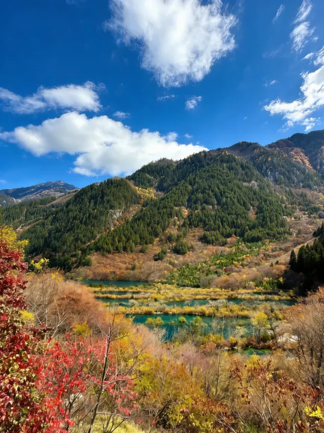 九寨溝秋季彩林與群海景觀
