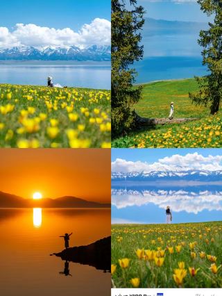 イリ精華純粋遊7日間ツアー攻略