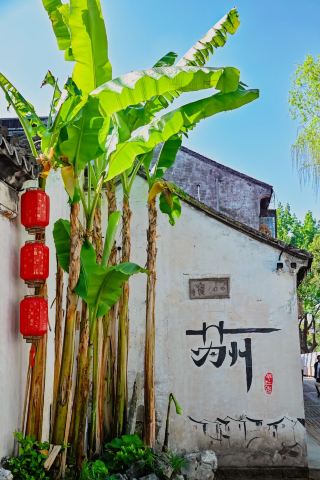2-Day Weekend Trip in Suzhou: Esports + Flower Viewing + Foodie Guide